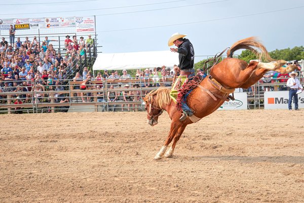 L'économie des clubs de basket: les dessous d'un modèle économique